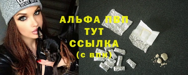 бошки Ладушкин