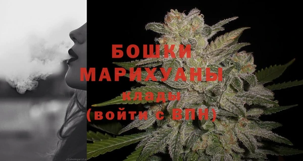 бошки Ладушкин