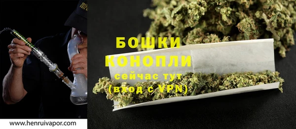бошки Ладушкин