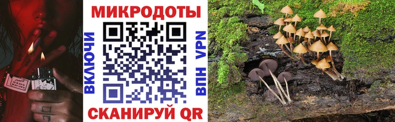 Купить  Новосибирск  Псилоцибиновые грибы Psilocybe 